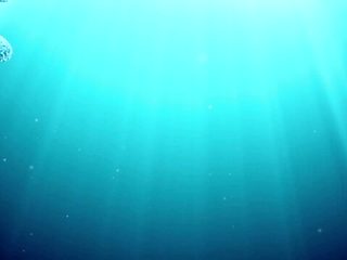 Underwater Show - big ass video