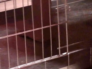 She makes her pet clean his cage by Femdom Austria