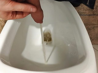 Piss and U Clean My Penis by WC in the Mall