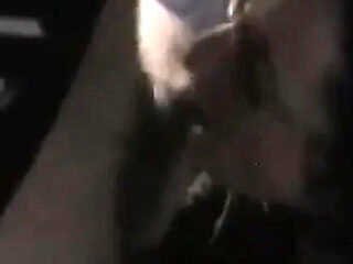 Vintage Gangbang Casting: Glasses Girl Takes Anal &amp;...