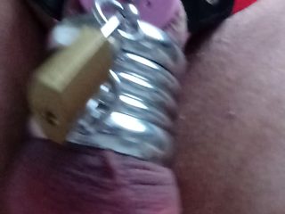 new inverted chastity with rings and lock