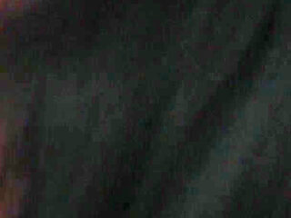 Young Kitten Begging to Be Impregnated