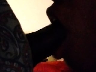 Amateur Webcam Couple Blowjob