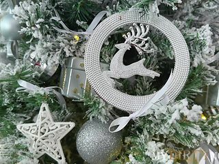 bisexual ffm 3some under the christmas tree
