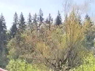 Voluptuous BBW Remi Taking Big Black Cock on a Rock