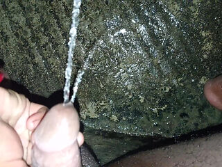 Desi Bhabhi sucks cock after pissing outdoors - Indian ...