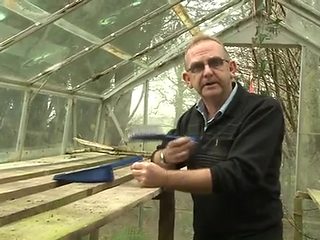 Greenhouse Games Mp4