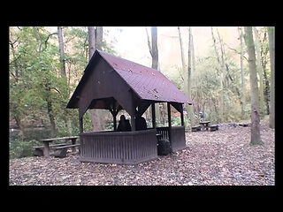 Hot Young Sluts Episode 2 - Big Tits Blowjob and Vintag...