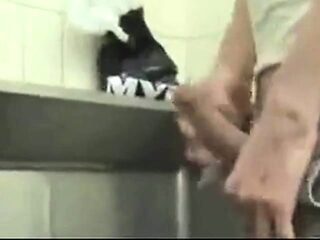 Public Restroom Blowjob