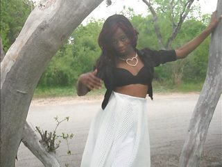 Dark-hued, bbc, slim thick ebony