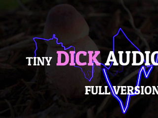 Tiny Dick Audio Full Version