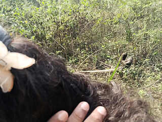 Step Brother Fucks Hot Indian Maid Laxi Ammu in Jungle ...