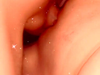 Delaware's Finest Adult Entertainers