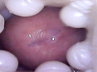 Cumpilation Fucking and Cuming in Fleshlights