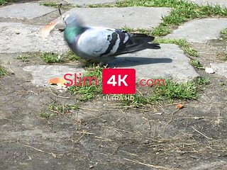 teen's perfect anal experience