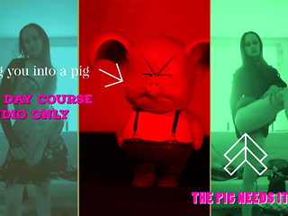 Learn How to Be a Pig the 5 Day Course Sniff Oink JOI A...