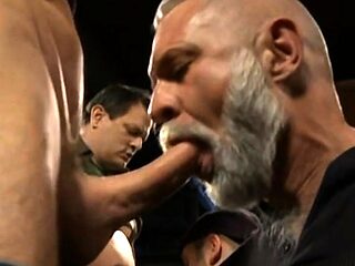 Hot Daddies Cock Party Chaos