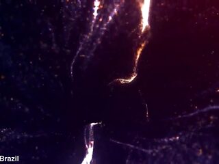 lyopgly ts blonde raw